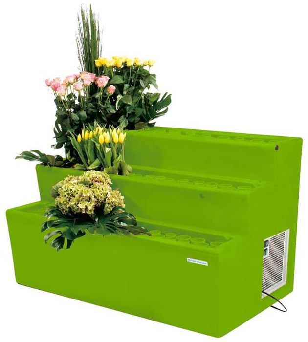 Професионална витрина за цветарски магазин