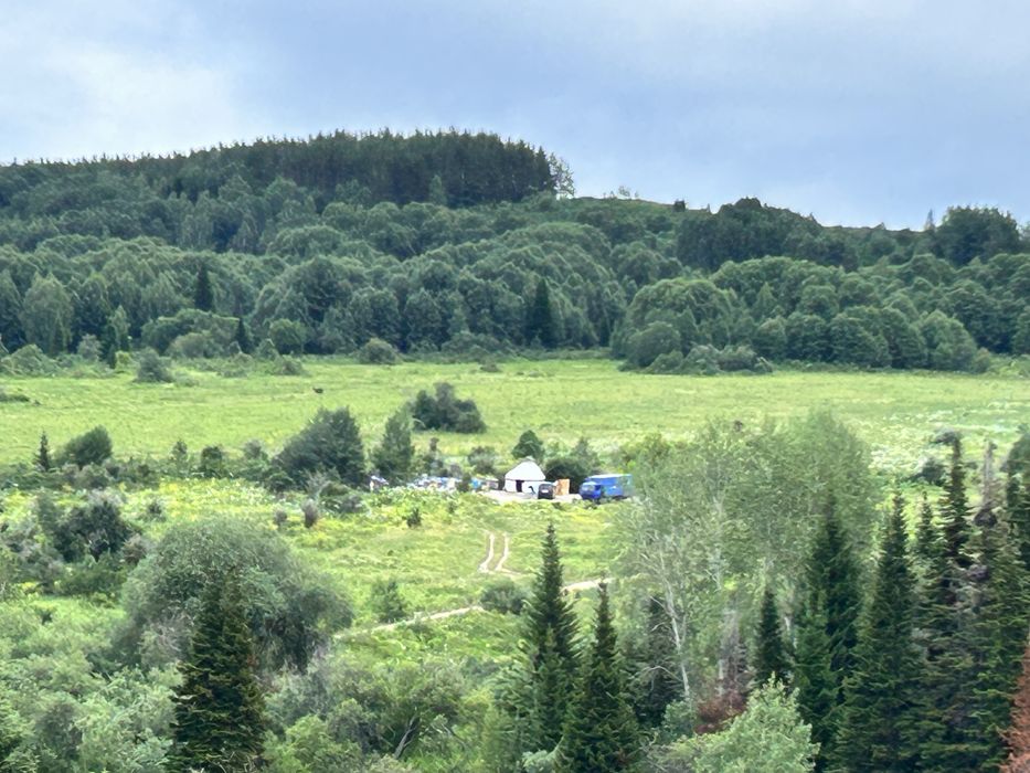 Продам мёд с Восточного Казахстана