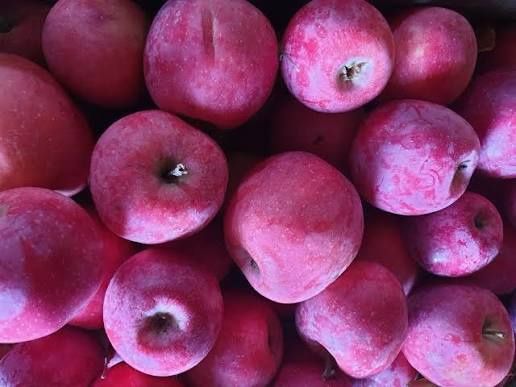 Vand Pere soiul kurel si mere Florina .