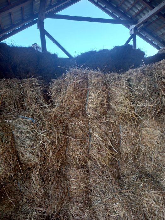 Vand baloti de fan lucerna trifoi