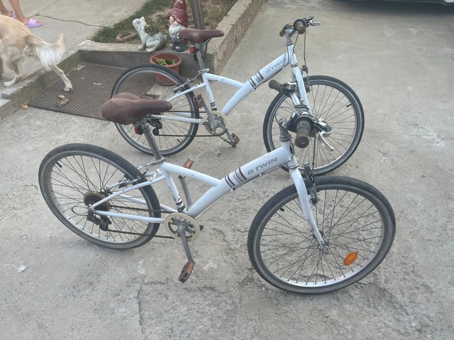 Bicicleta. Diverse mărimi (copii/adulți) – 200-750 lei / Trotinete- 70