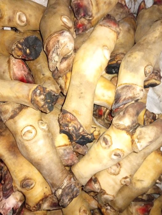 Пачай говяжий ножки оптом