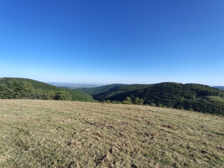 Teren extravilan și intravilan,Ramet,Transapuseana