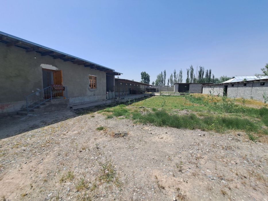 20 sotix xovli + ferma