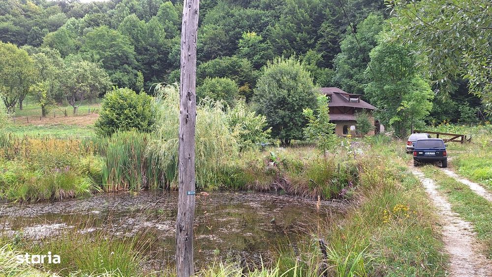 Vanzare Ansamblu Casute Bradulet Arges