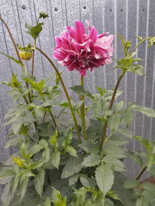 Продам или обьменяем двухкомнатный дом в селе Теренколь