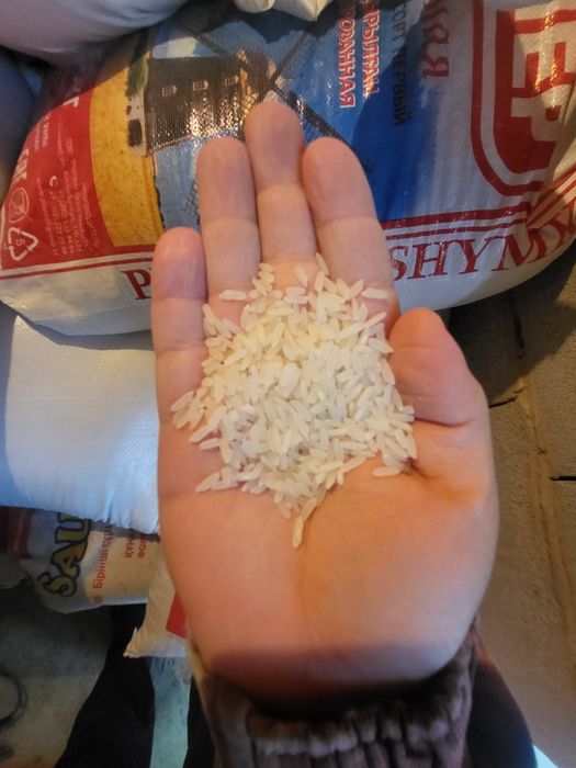 Рис СОРТ ЛАЗЕР есть доставка