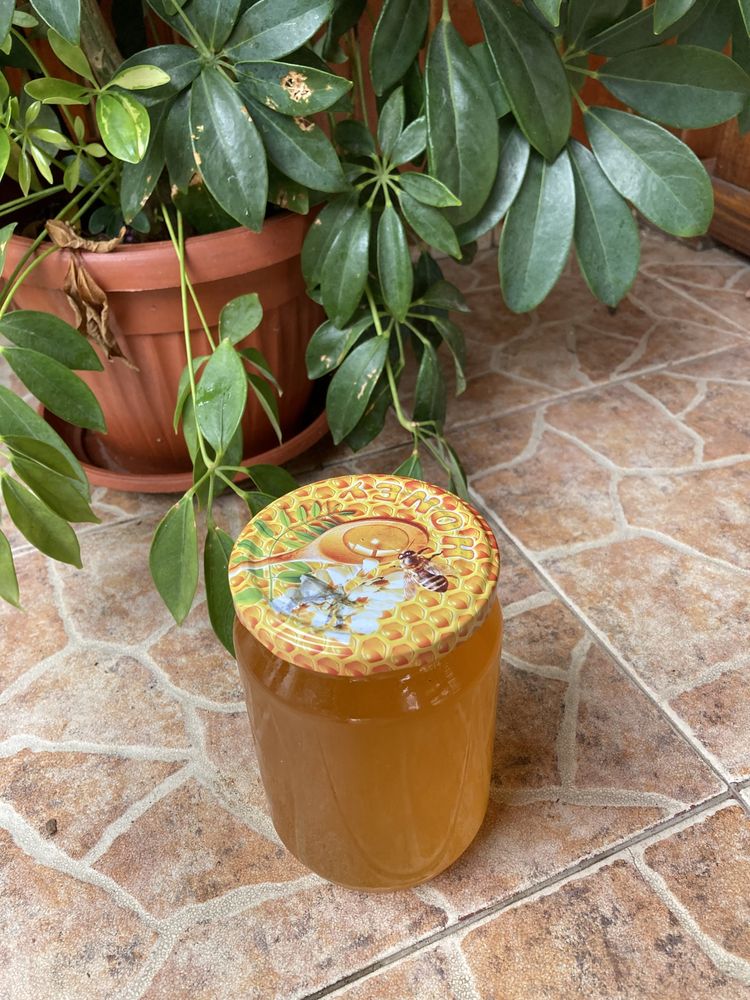 Домашно отгледан мед (рапица, слънчоглед и букет от билки)