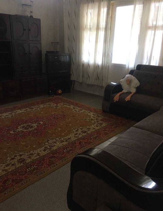 Срочно! Квартира на С.Барака-Корзинка 2/5/9 общ пл 60м