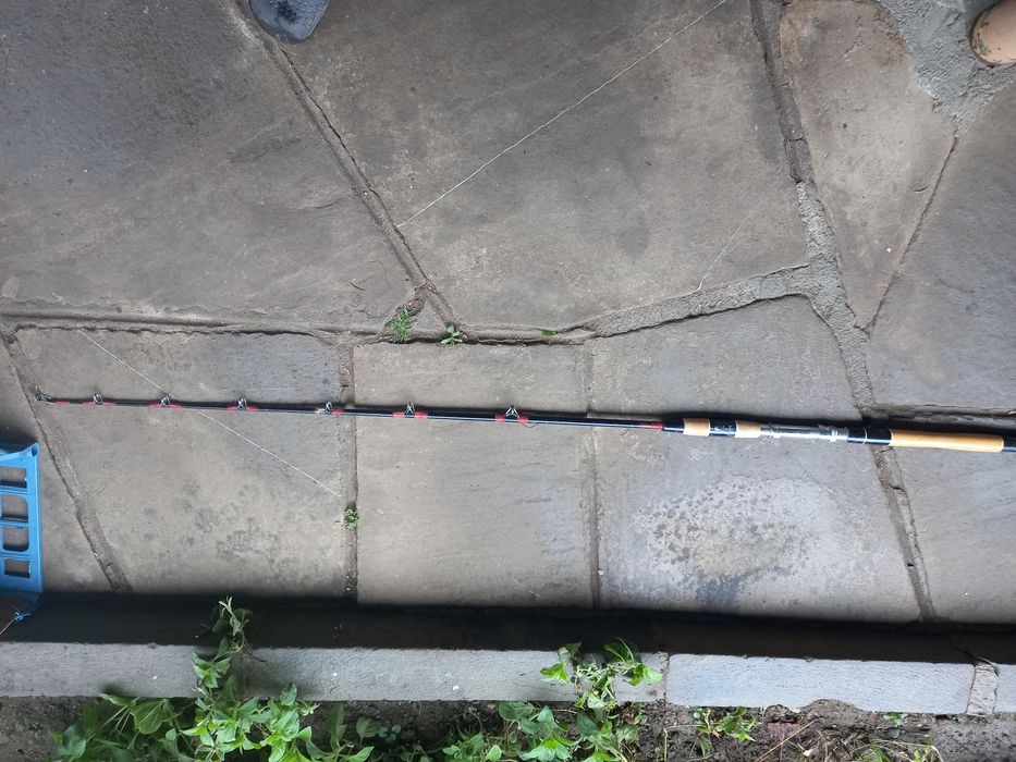 Ретро въдици мухарки Berkley graphite,DAM