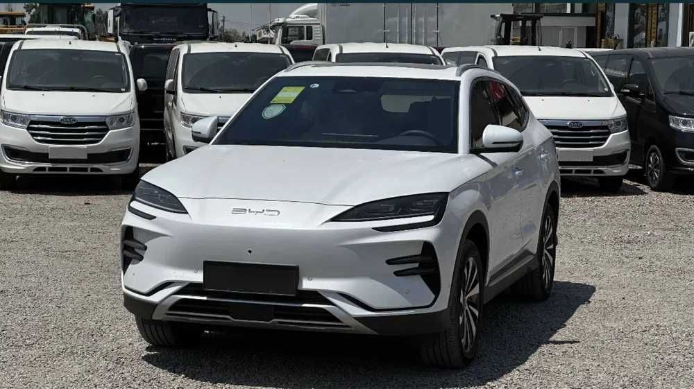 BYD Champion Smart 605 km