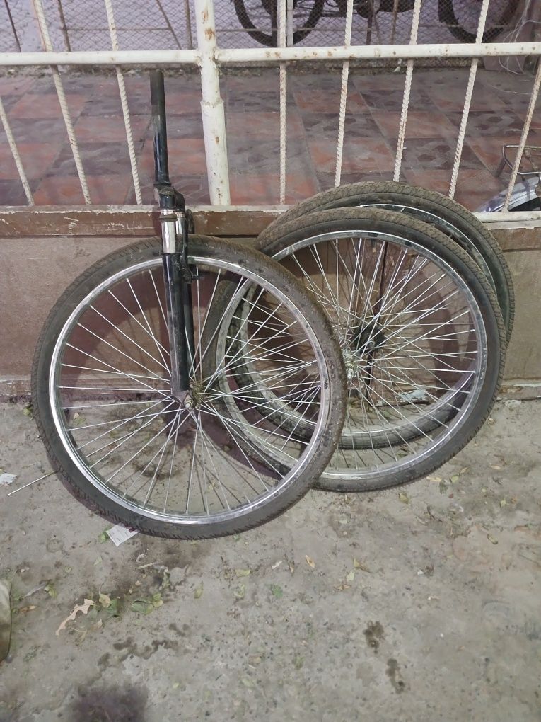 26 kalyos 24 vilka sptiladi