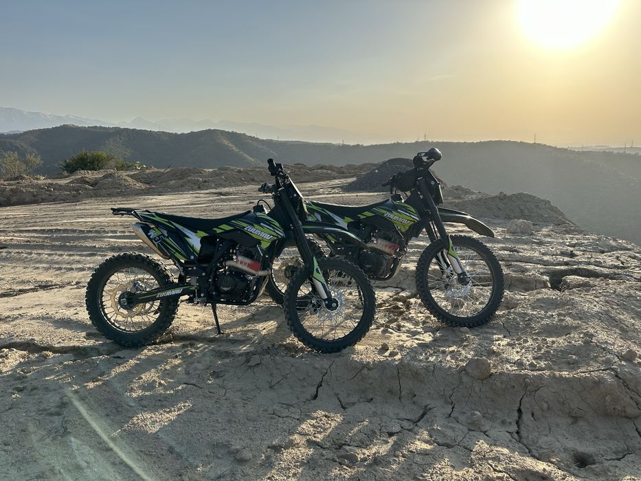 Zumavv к 5, 2024 год