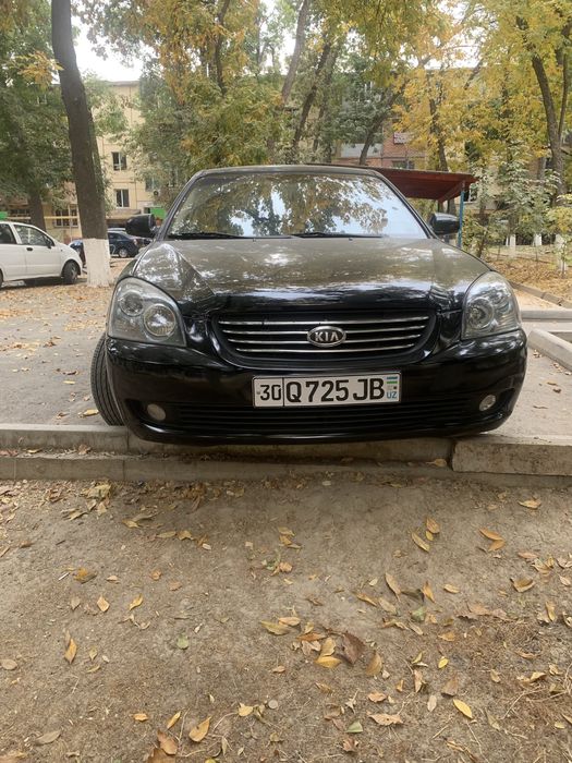 Kia Optoma 2008 2 mator