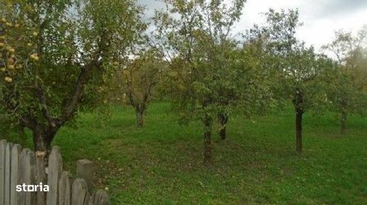 Teren Blidari, ID: R2800371