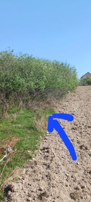Teren intravilan central in Negresti Oas la pret mic