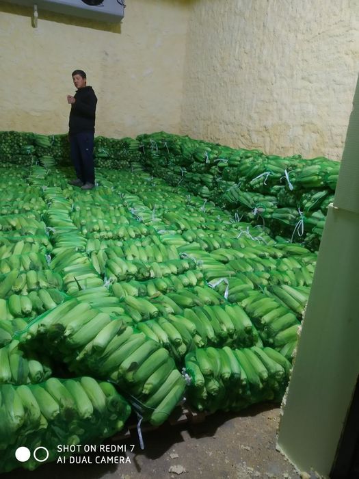 Shirin joʻxori . Marka 832. Сладкая кукуруза