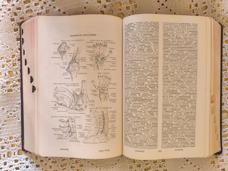Dorland's Illustrated medical dictionary