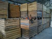 Boxpaleti fructe noi