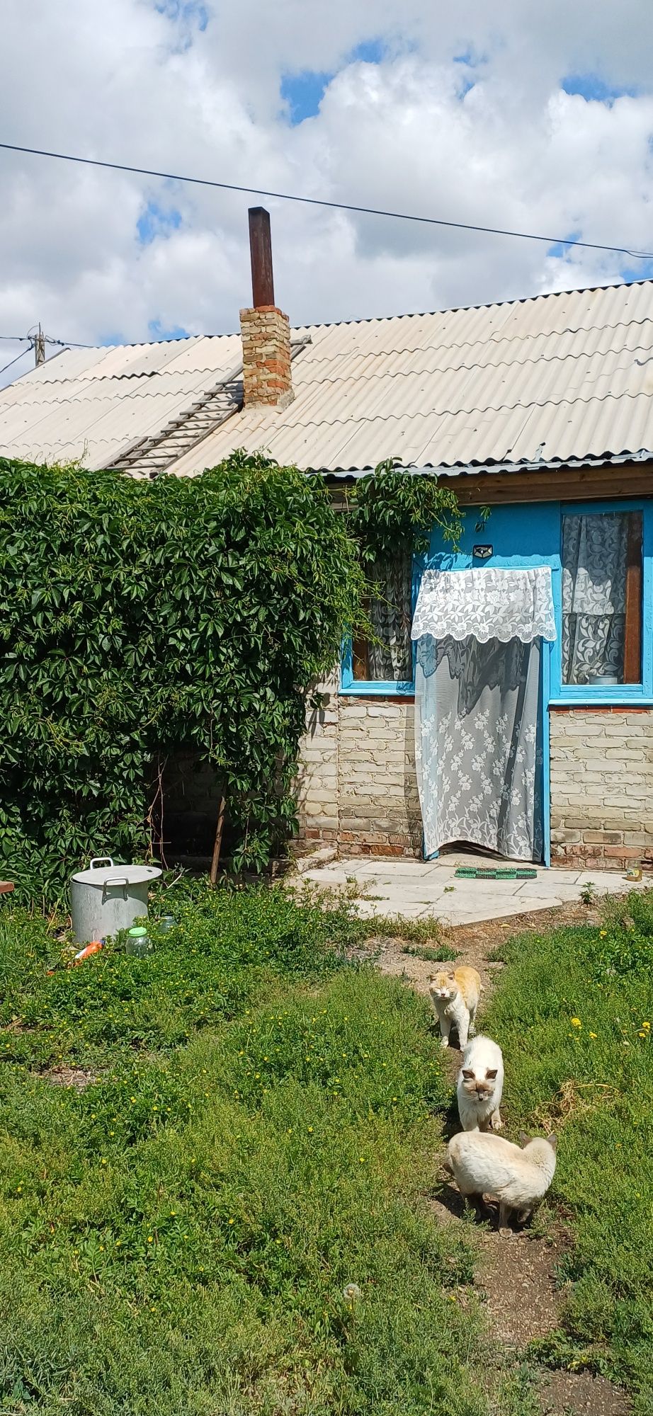 Продам дом в Пригородном или обменяю на 1ком.квартиру с доплатой
