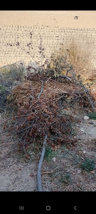 Продаются  дрова,   утин  бор на тандир