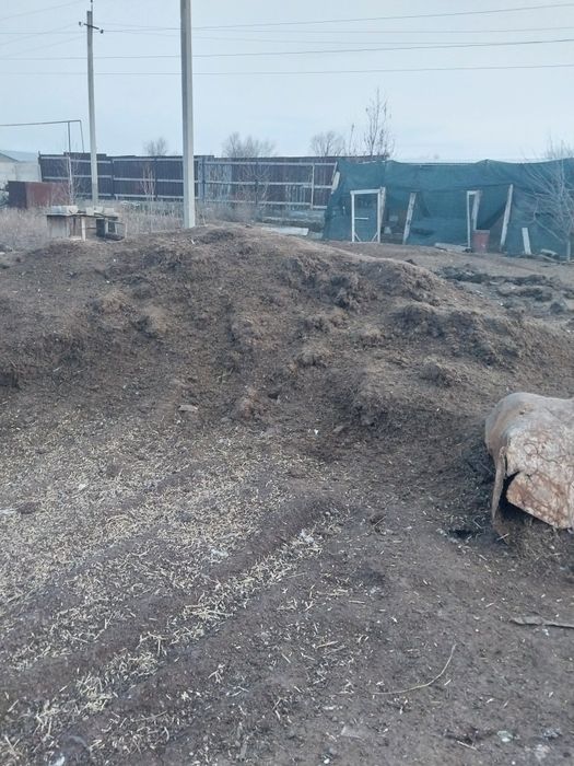 Навоз кой жылкы  1 зил калды