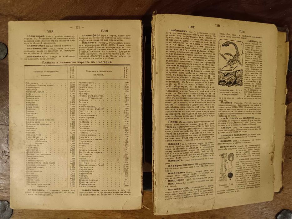 Антикварна енциклопедия - Братя Данчови. Първо издание - 1936 г.