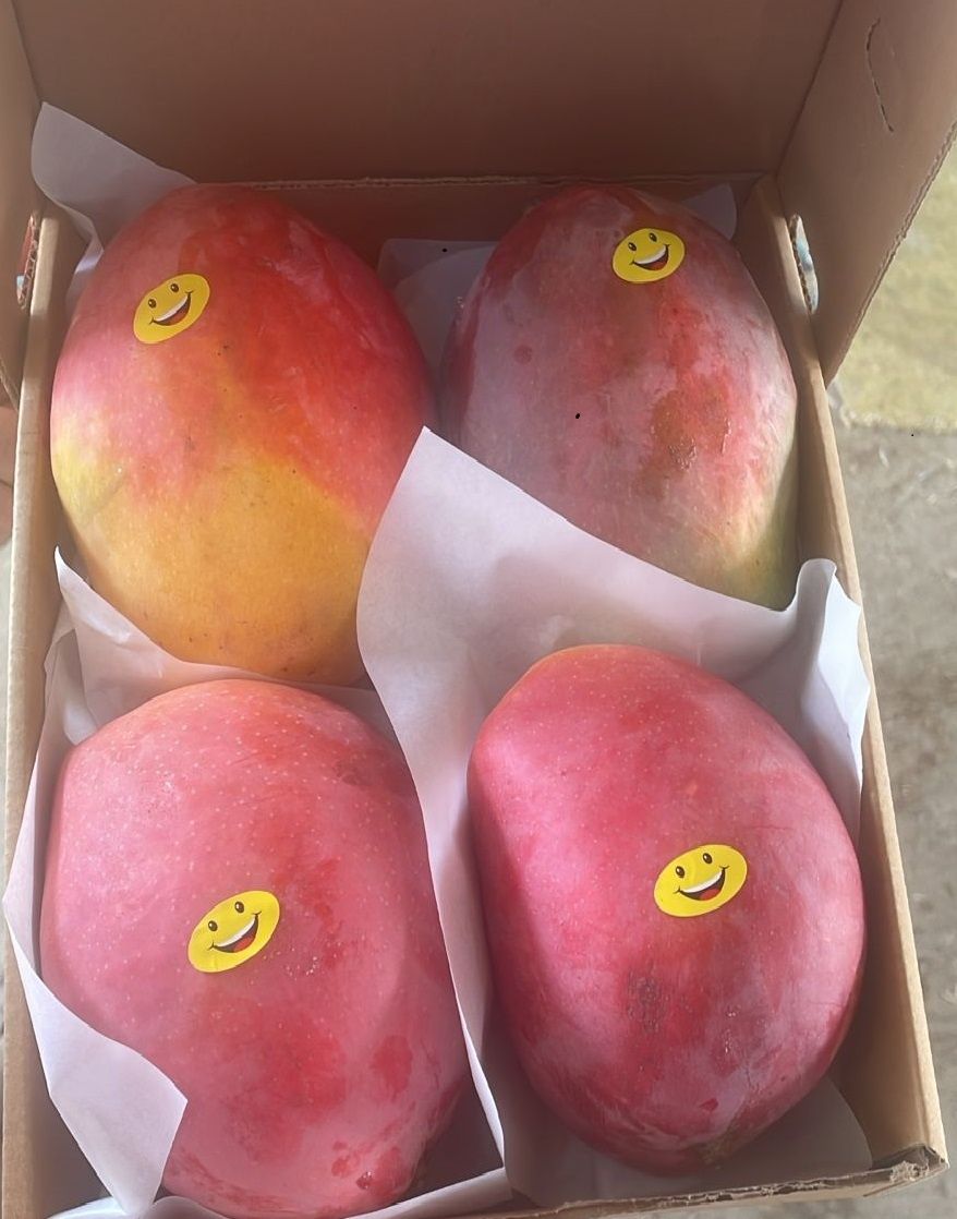 Mango ready to eat