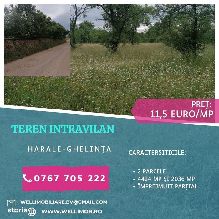 De vânzare două parcele de teren intravilan în Harale (Ghelința)