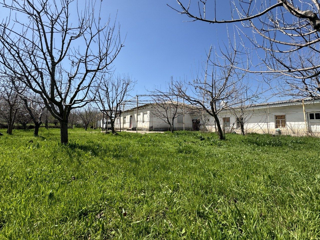 Продается дом с площадами 1 гектар в обл. Ташкент