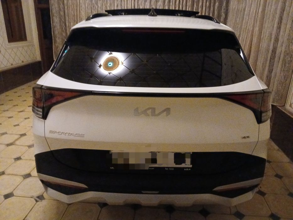 Панорама том, 2024 йилда олинган спортейж