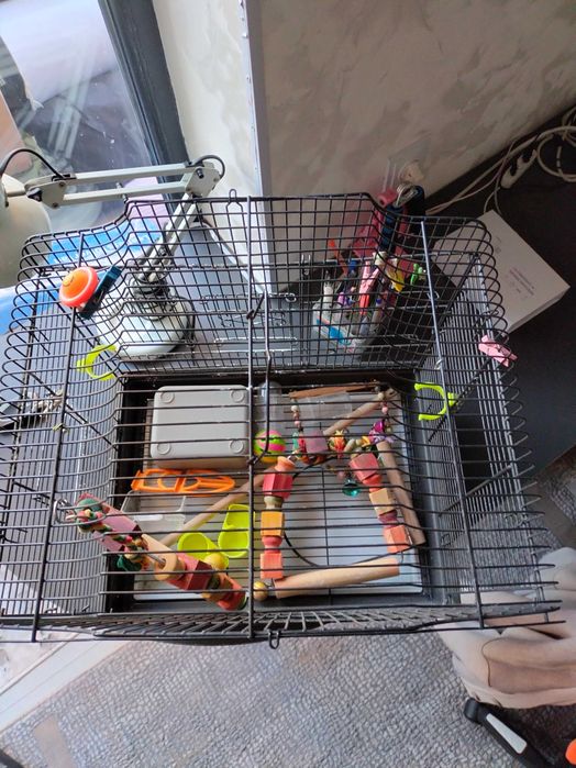 Клетка для попугаев с игрушками