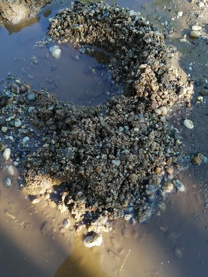 Foraje puțuri apă