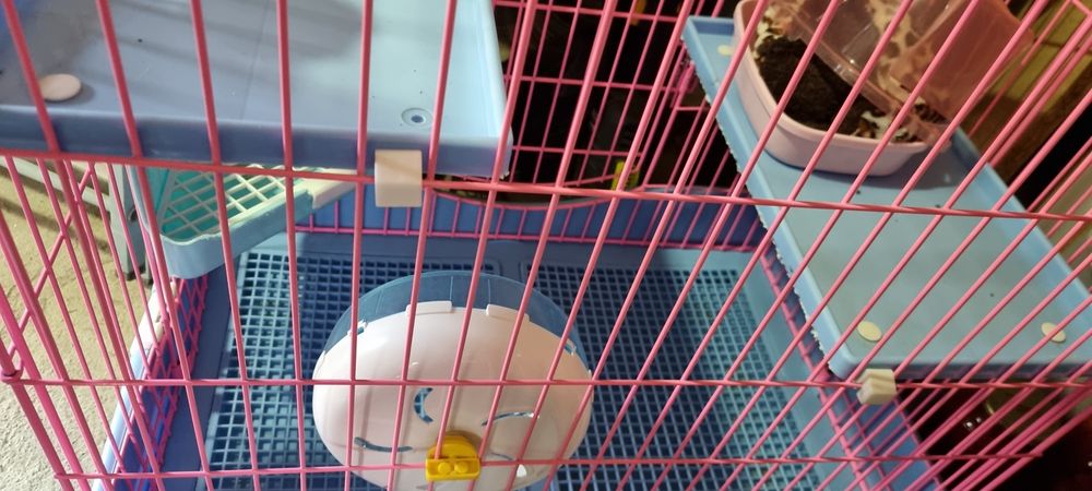 Продаю большую клетку для грызунов