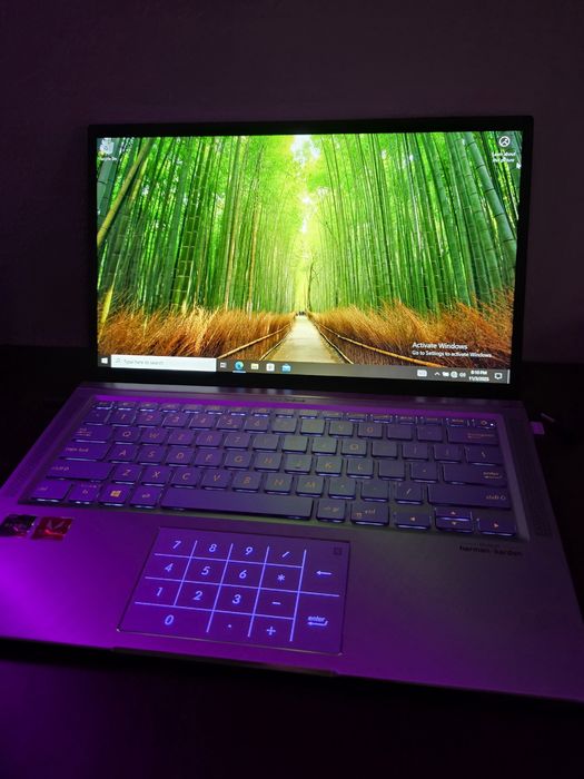 Laptop Asus Zenbook 14" UM431D 16 GB RAM Ryzen 7