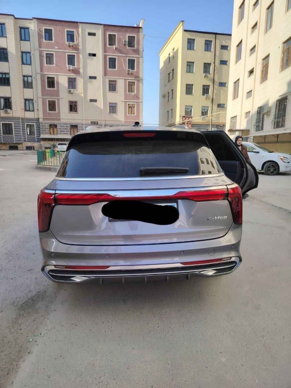Hongqi E-HS9 год 2021