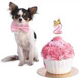 *CIFRE decorative_topper tort