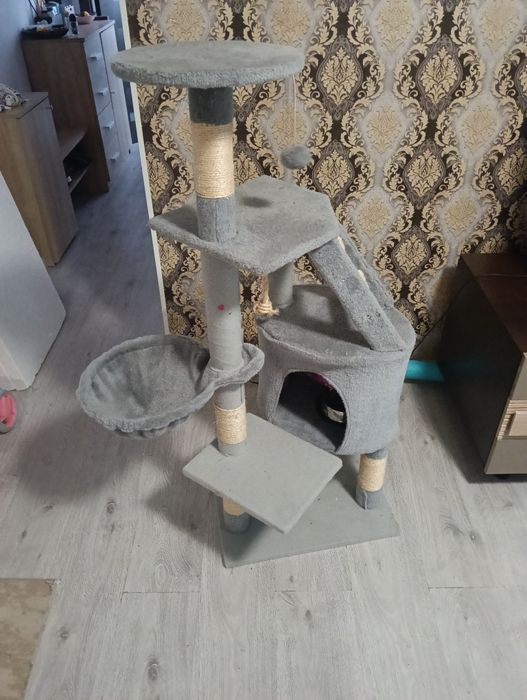 Zgârietoare pisici și litieră