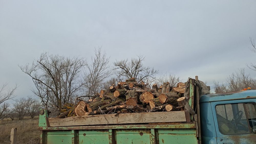 Дрова караначь,клён,тополь