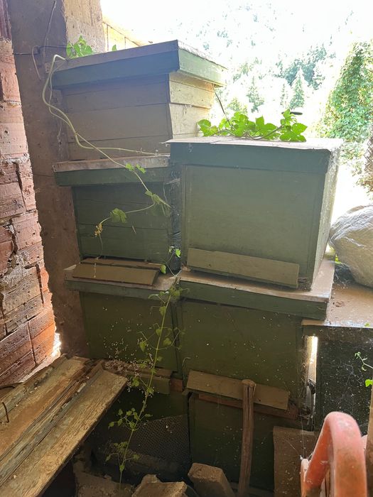 Кошери за продан