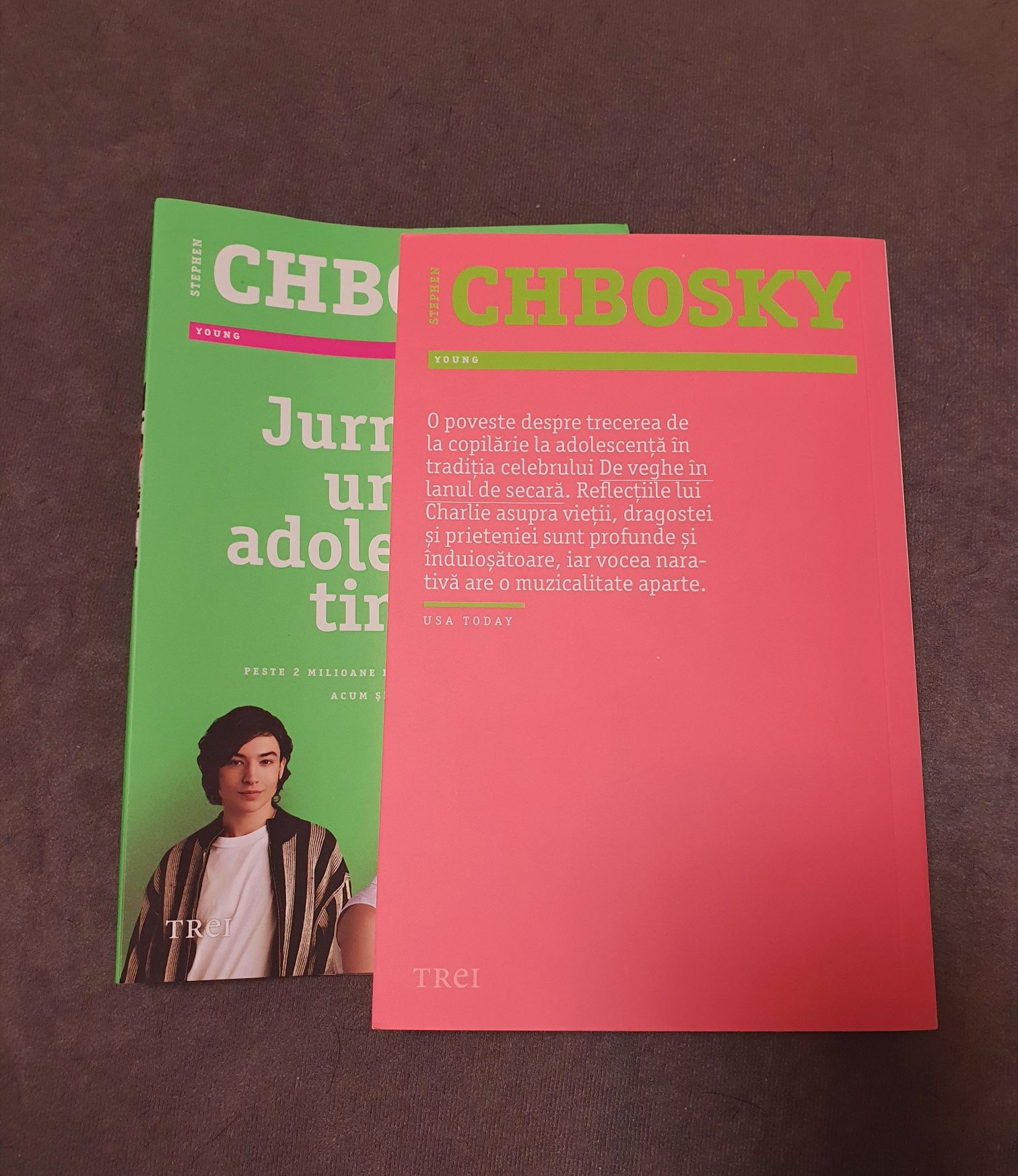 Jurnalul unui adolescent timid de Stephen Chbosky