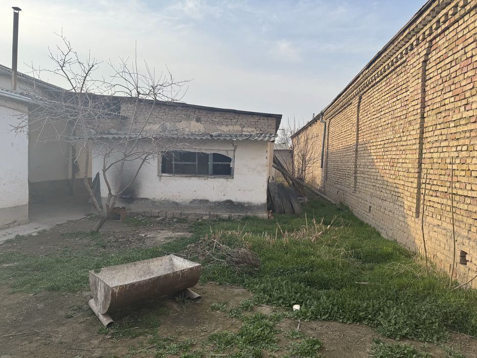 Bekobod tumani. Zafarda 4 so’tixli xovli sotiladi