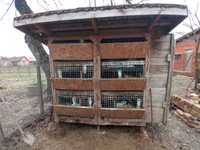 Vănd cușcă pentru iepuri cu 9 compartimente și 2 mai mari pentru pui
