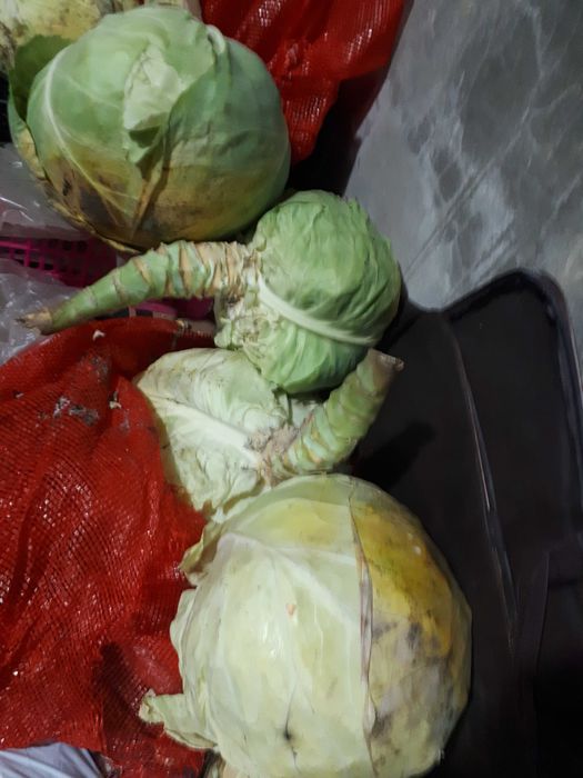 Продам капусту домашнюю