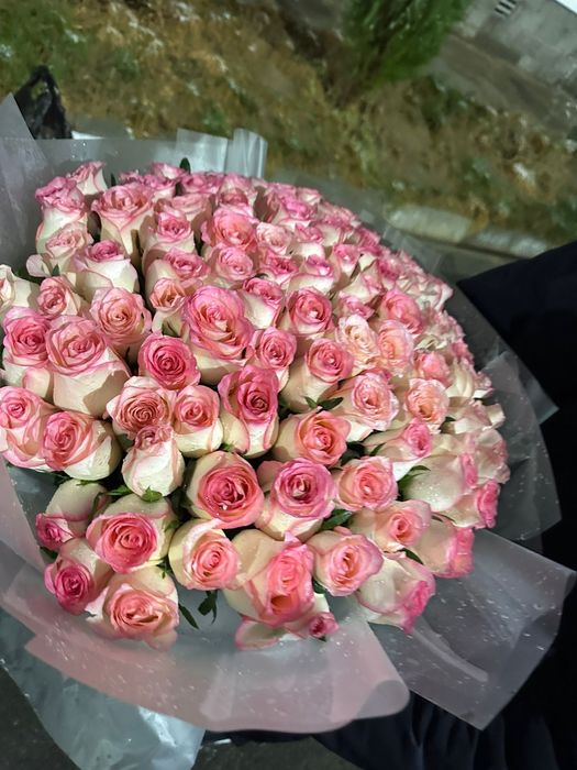 101 роза свежый   .