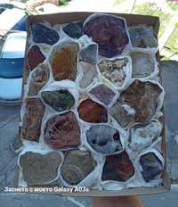 Кутия с минерали, фосили и вкаменени дръвчета