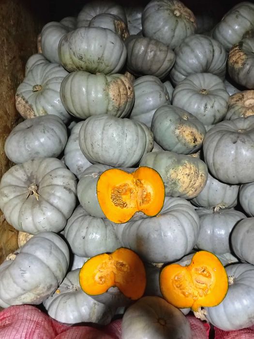 Dovleac de copt sau placinte