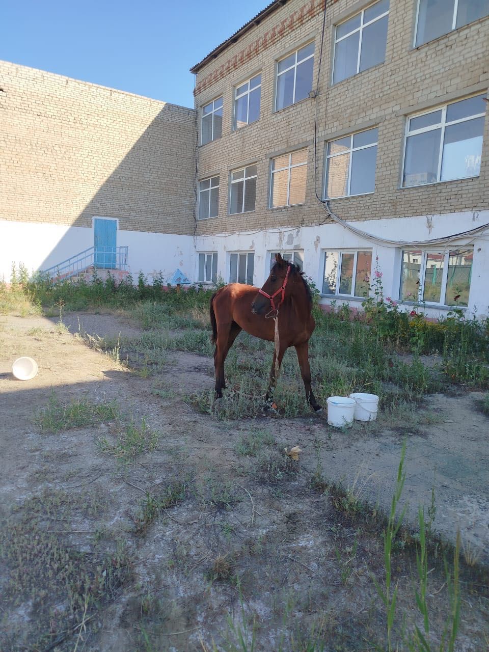 Байтал Байтал Байтал