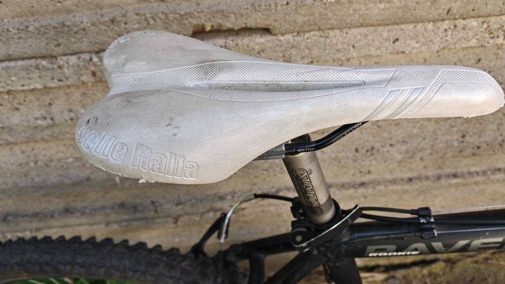 Bicicleta Mtb Focus Raven