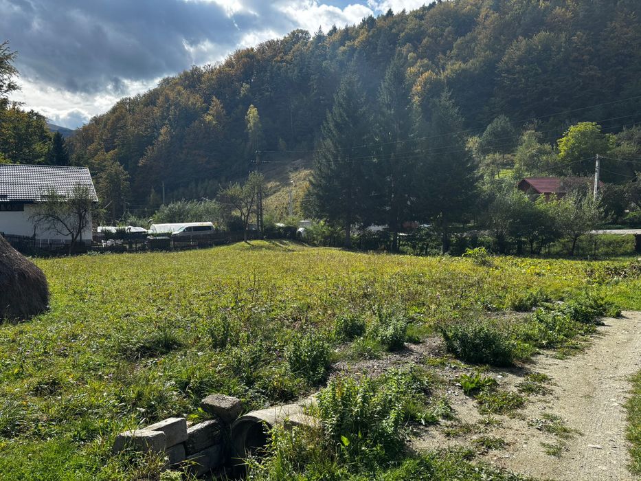 Teren intravilan 2500mp